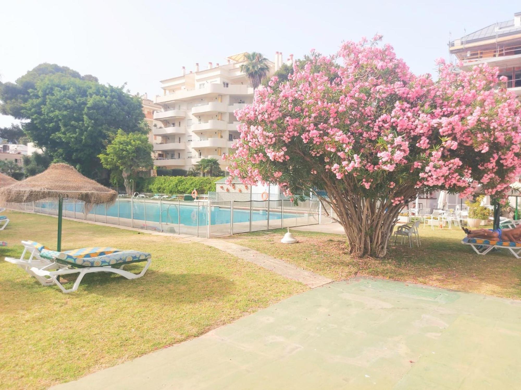 Estudio Luminoso En Puerto Marina Benalmadena Ngoại thất bức ảnh